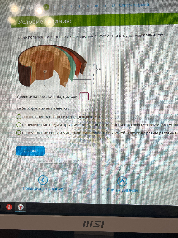 Дано поперечное сечение стебля растения. Рассмотри рисунок и дополни текст. Древесина обозначен(а) цифрой... Её (его) функцией является: