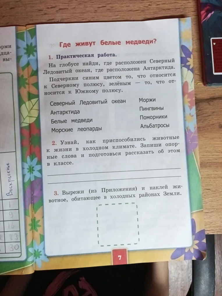 На глобусе найди, где расположен Северный Ледовитый океан, где расположена Антарктида.