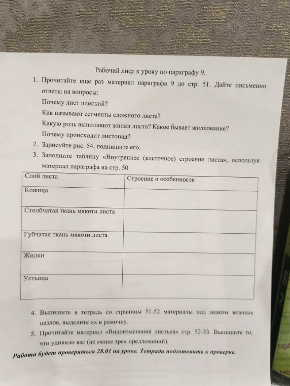 Дайте письменно ответы на вопросы: Почему лист плоский? Как называют сегменты сложного листа? Какую роль выполняют жилки листа? Почему происходит листопад? Заполните таблицу «Внутреннее (клеточное) строение листа».