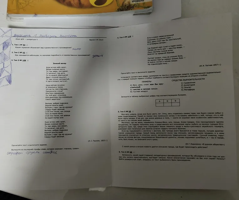 Выполните задания по варианту 1 по литературе на основе текстов А. С. Пушкина, Ф. И. Тютчева и В. Г. Короленко.