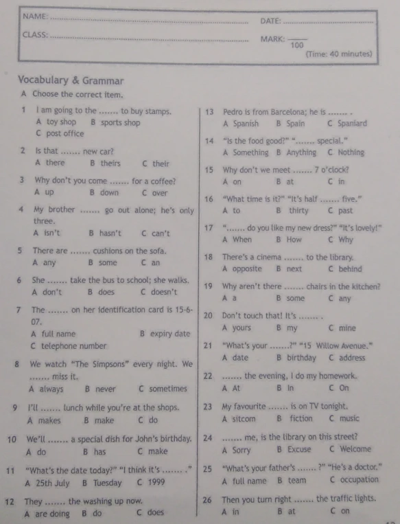 Choose the correct item in Vocabulary & Grammar test