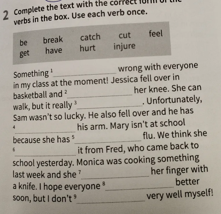 Complete the text with the correct form of the verbs in the box. Use each verb once.