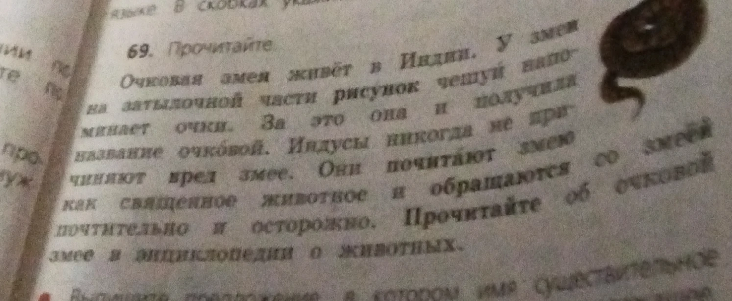 Выделите предложение, в котором имя существительное является подлежащим