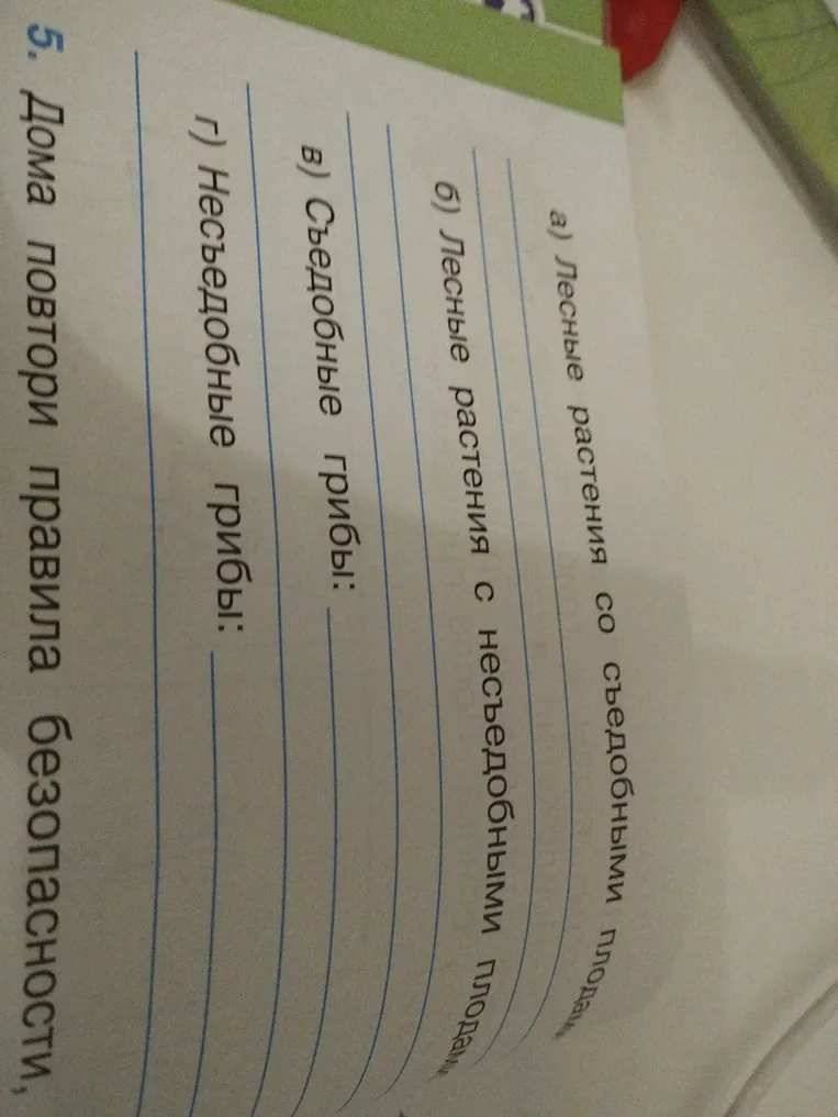 Приведи примеры: а) Лесные растения со съедобными плодами; б) Лесные растения с несъедобными плодами; в) Съедобные грибы; г) Несъедобные грибы.