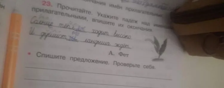Прочитайте. Укажите падеж над именами прилагательными, впишите их окончания.