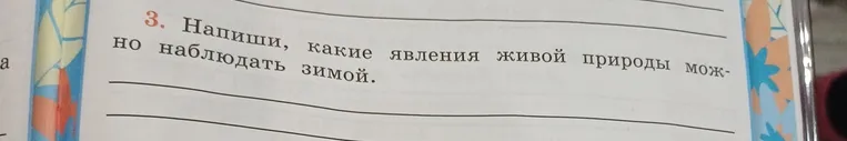 Напиши, какие явления живой природы можно наблюдать зимой.