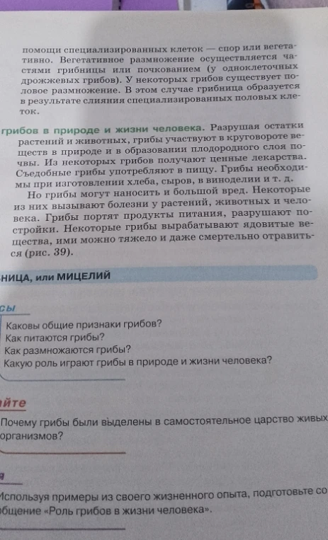 Каковы общие признаки грибов? Как питаются грибы? Как размножаются грибы? Какую роль играют грибы в природе и жизни человека?