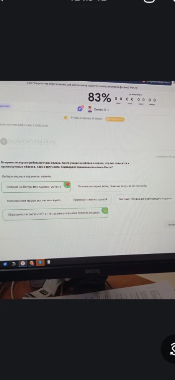 Во время экскурсии ребята изучали облака. Костя указал на облако и сказал, что оно относится к группе кучевых облаков. Какие аргументы подтвердят правильность ответа Кости?