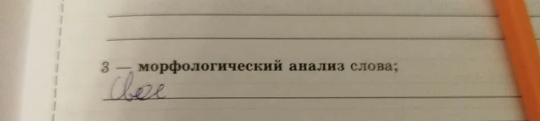 Выполните морфологический анализ слова 'своё'