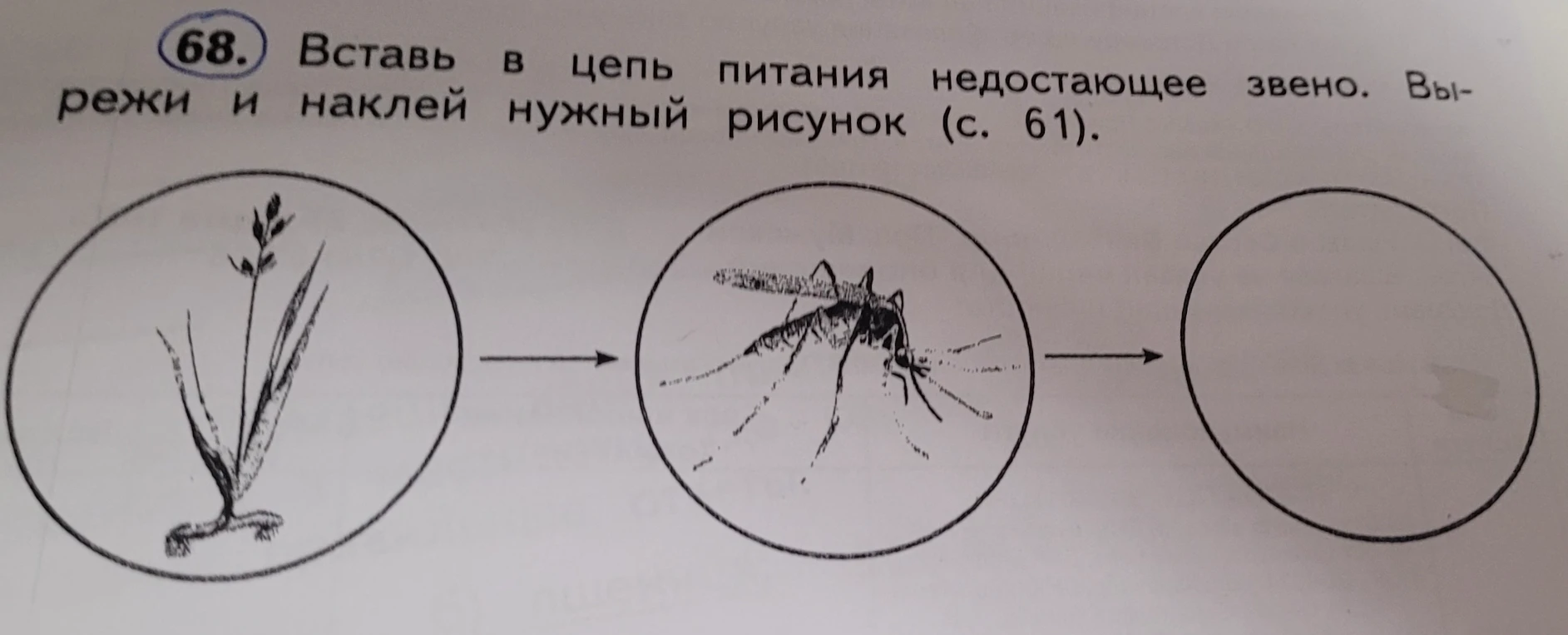 Вставь в цепь питания недостающее звено. Вырежи и наклей нужный рисунок.
