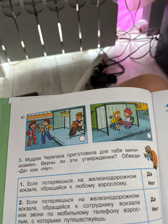 Мудрая Черепаха приготовила для тебя мини-экзамен. Верны ли эти утверждения?