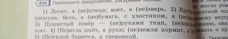 Перепишите предложения, раскрывая скобки: 1) Летит, а (не)птица; воет, а (не)зверь.