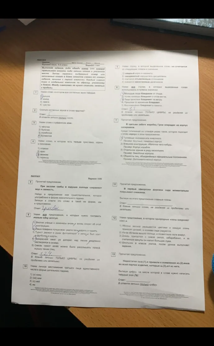 Выполните задания по русскому языку из варианта 1101 (задания 1-13).