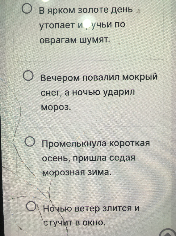 В каком предложении есть ошибка в постановке знаков препинания?