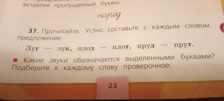 37. Прочитайте. Устно составьте с каждым словом предложение. Луг — лук, плод — плот, пруд — прут. Какие звуки обозначаются выделенными буквами? Подберите к каждому слову проверочное.