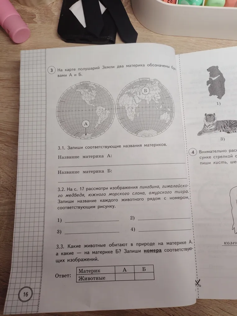 На карте полушарий Земли два материка обозначены буквами А и Б. Запиши соответствующие названия материков.