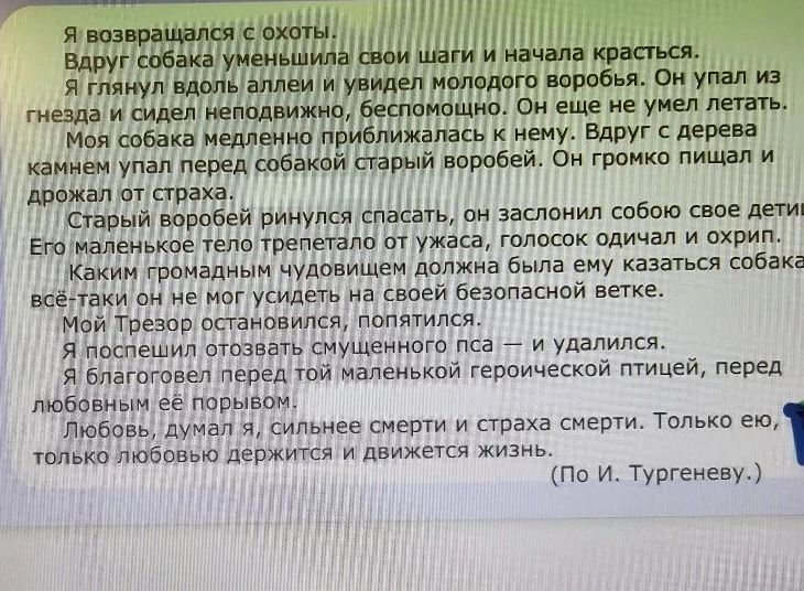 Напишите сжатое изложение по тексту И. Тургенева «Воробей»