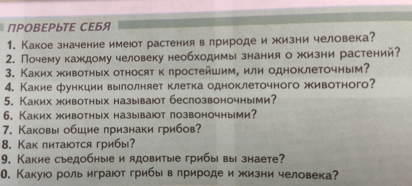 Какое значение имеют растения в природе и жизни человека?