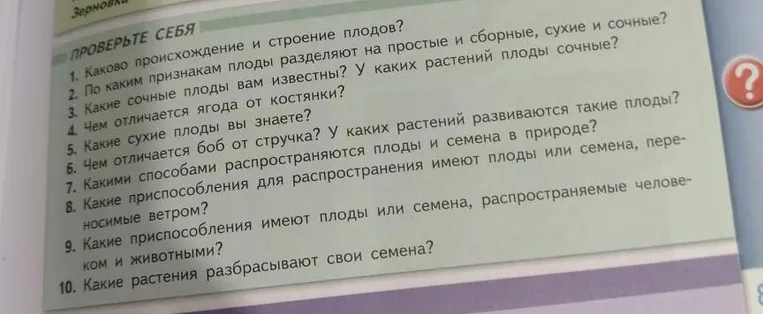 1. Каково происхождение и строение плодов?