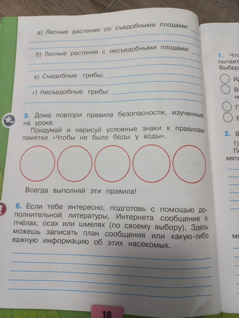 а) Лесные растения со съедобными плодами; б) Лесные растения с несъедобными плодами; в) Съедобные грибы; г) Несъедобные грибы; 5. Придумай и нарисуй условные знаки к правилам памятки «Чтобы не было беды у воды». 6. Подготовь сообщение о пчёлах, осах или шмелях.