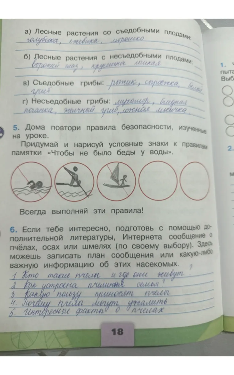 Придумай и нарисуй условные знаки к правилам памятки «Чтобы не было беды у воды». Подготовь сообщение о пчёлах, осах или шмелях.