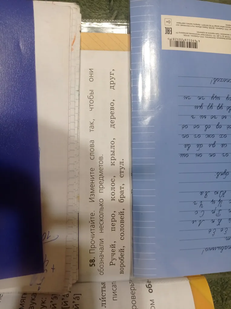 Прочитайте. Измените слова так, чтобы они обозначали несколько предметов: Ручей, перо, колос, крыло, дерево, друг, воробей, соловей, брат, стул.