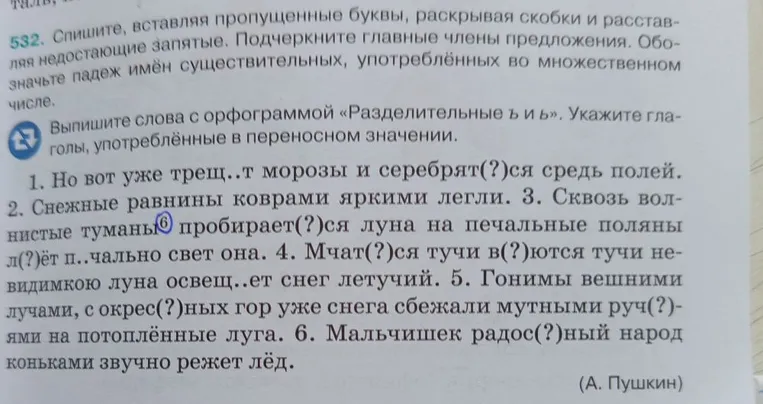 Спишите, вставляя пропущенные буквы, раскрывая скобки и расставляя недостающие запятые. Подчеркните главные члены предложения. Обозначьте падеж имён существительных, употреблённых во множественном числе. Задание 6.