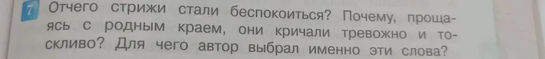Отчего стрижи стали беспокоиться? Почему, прощаясь с родным краем, они кричали тревожно и тоскливо? Для чего автор выбрал именно эти слова?