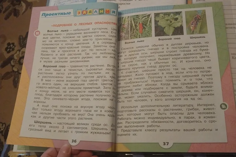 Проектное задание «Подробнее о лесных опасностях»
