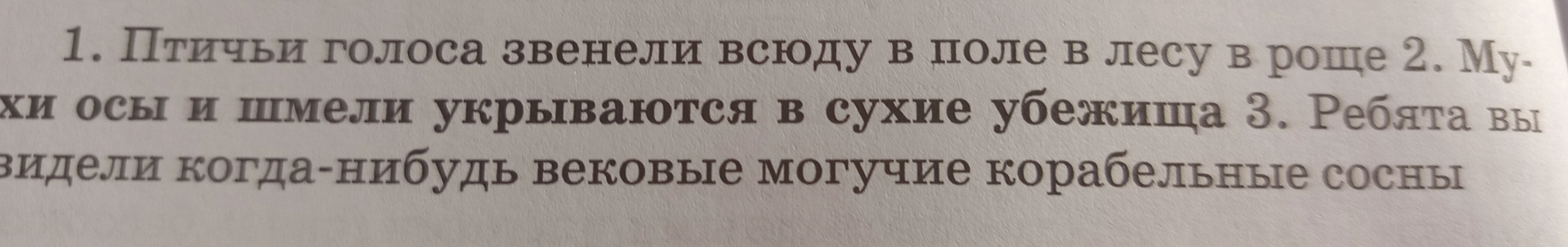 Синтаксический разбор предложений: 1. Птичьи голоса звенели всюду в поле в лесу в роще 2. Мухи осы и шмели укрываются в сухие убежища 3. Ребята вы видели когда-нибудь вековые могучие корабельные сосны