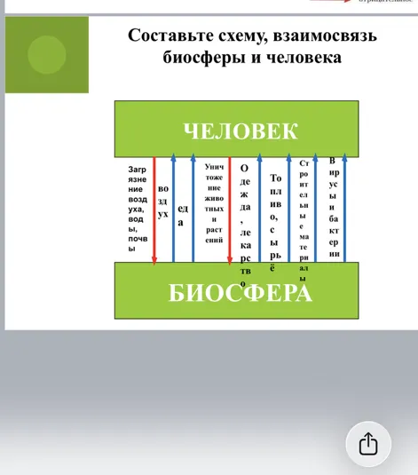 Составьте схему, взаимосвязь биосферы и человека