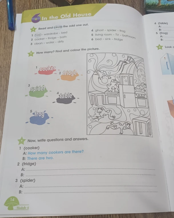 Read and circle the odd one out. How many? Find and colour the picture. Now, write questions and answers.