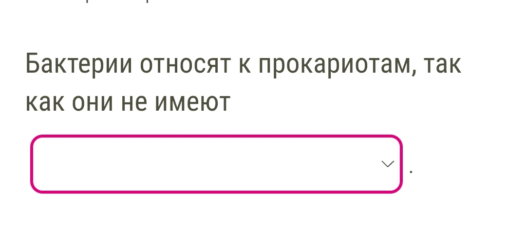Бактерии относят к прокариотам, так как они не имеют
