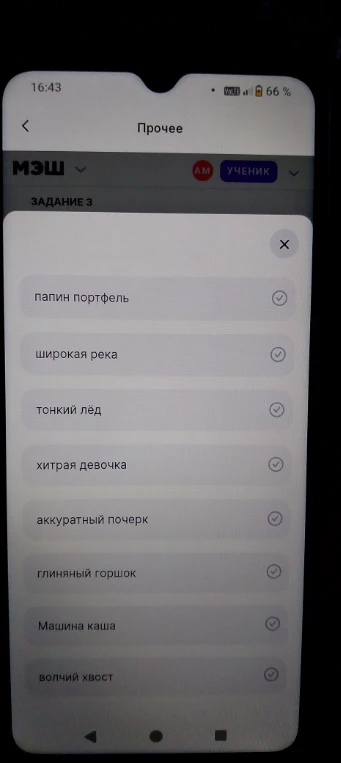 Определите разряд прилагательных в словосочетаниях: папин портфель, широкая река, тонкий лёд, хитрая девочка, аккуратный почерк, глиняный горшок, Машина каша, волчий хвост.
