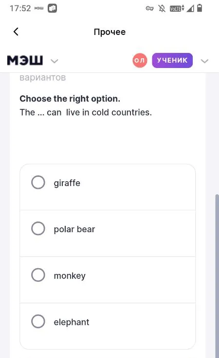 Choose the right option. The ... can live in cold countries.