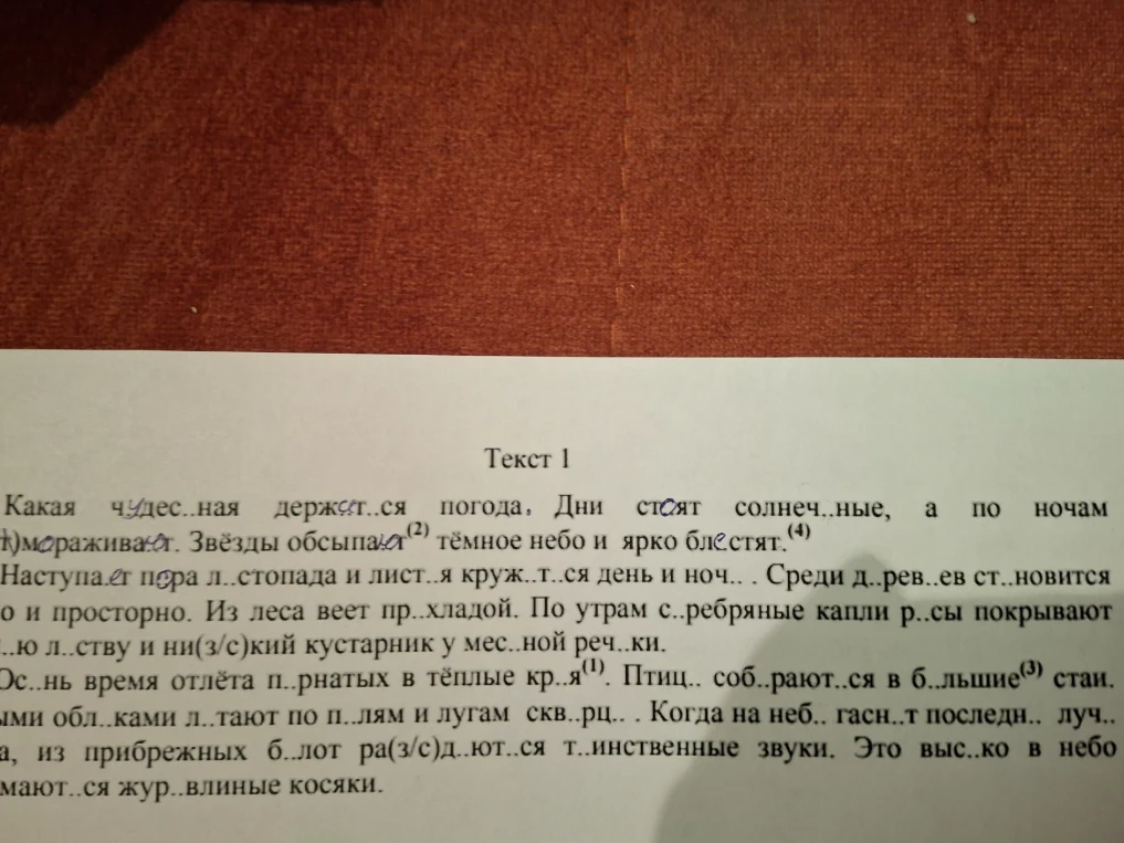 Перепишите Текст 1, раскрывая скобки и вставляя пропущенные буквы. Выполните обозначенные разборы.