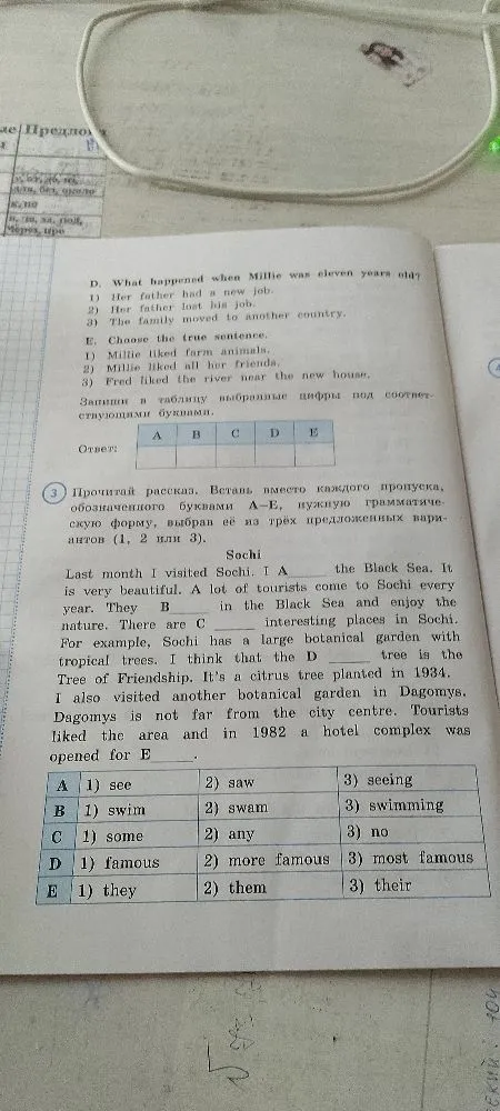 Прочитай рассказ. Вставь вместо каждого пропуска, обозначенного буквами A–E, нужную грамматическую форму, выбрав её из трёх предложенных вариантов (1, 2 или 3).