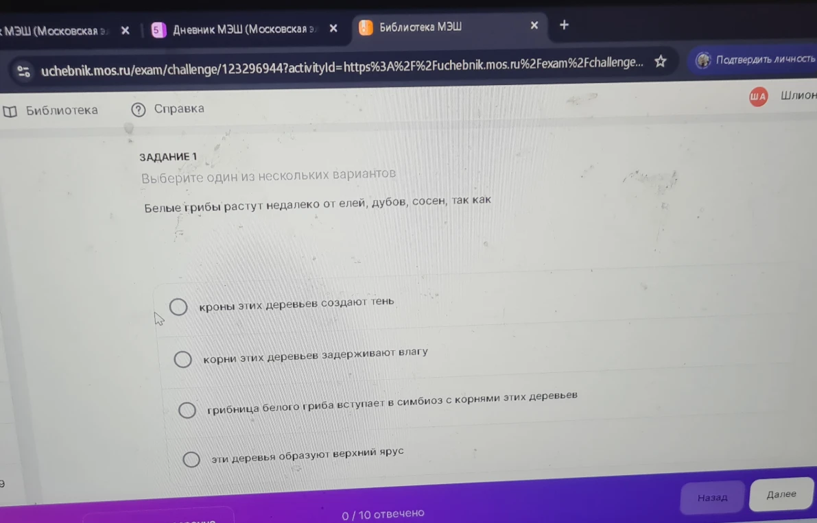 Белые грибы растут недалеко от елей, дубов, сосен, так как