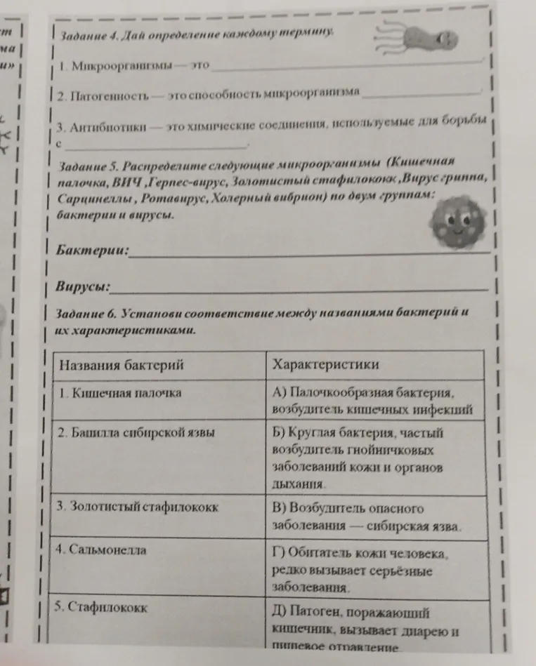 Задание 4. Дай определение каждому термину. Задание 5. Распределите следующие микроорганизмы по двум группам: бактерии и вирусы. Задание 6. Установи соответствие между названиями бактерий и их характеристиками.
