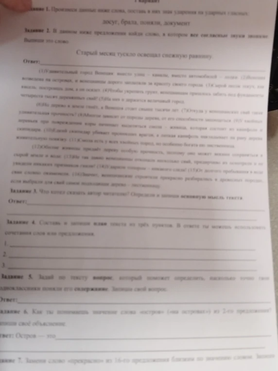 Произнеси данные ниже слова, поставь в них знак ударения на ударных гласных: досуг, брала, поняли, документ