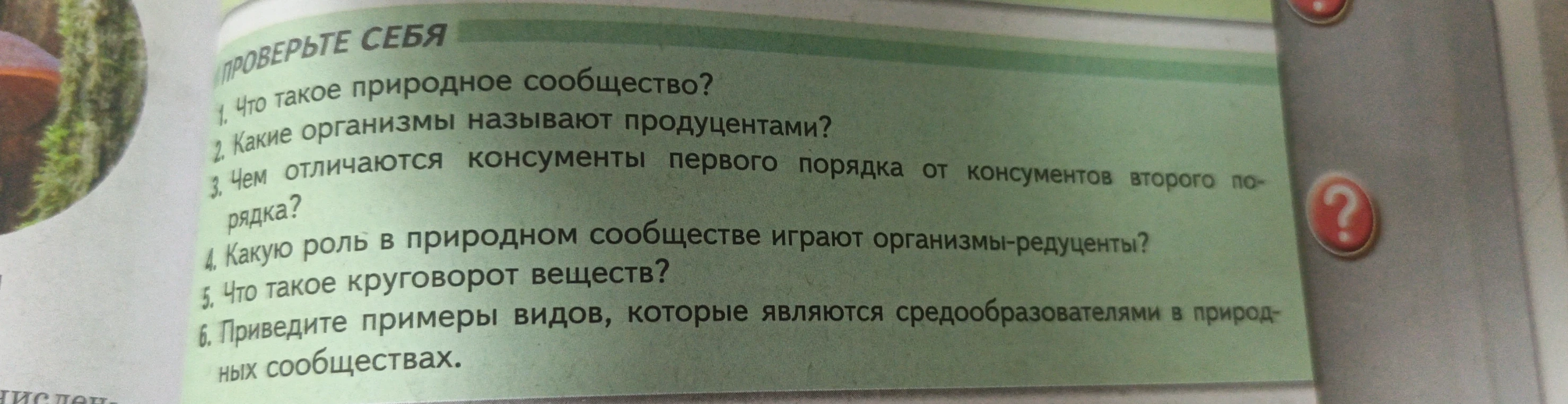 Ответьте на вопросы: Что такое природное сообщество? Какие организмы называют продуцентами? Чем отличаются консументы первого порядка от консументов второго порядка? Какую роль в природном сообществе играют организмы-редуценты? Что такое круговорот веществ? Приведите примеры видов, которые являются средообразователями в природных сообществах.