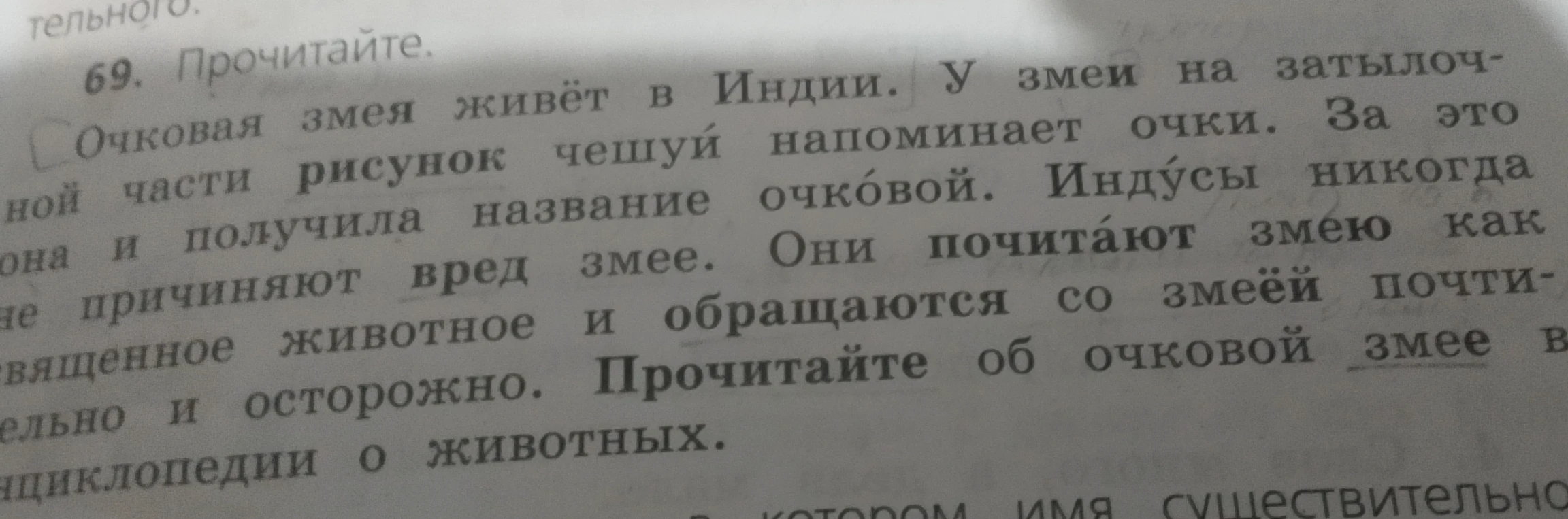 Прочитайте. Очковая змея живёт в Индии. У змеи на затылочной части рисунок чешуй напоминает очки.