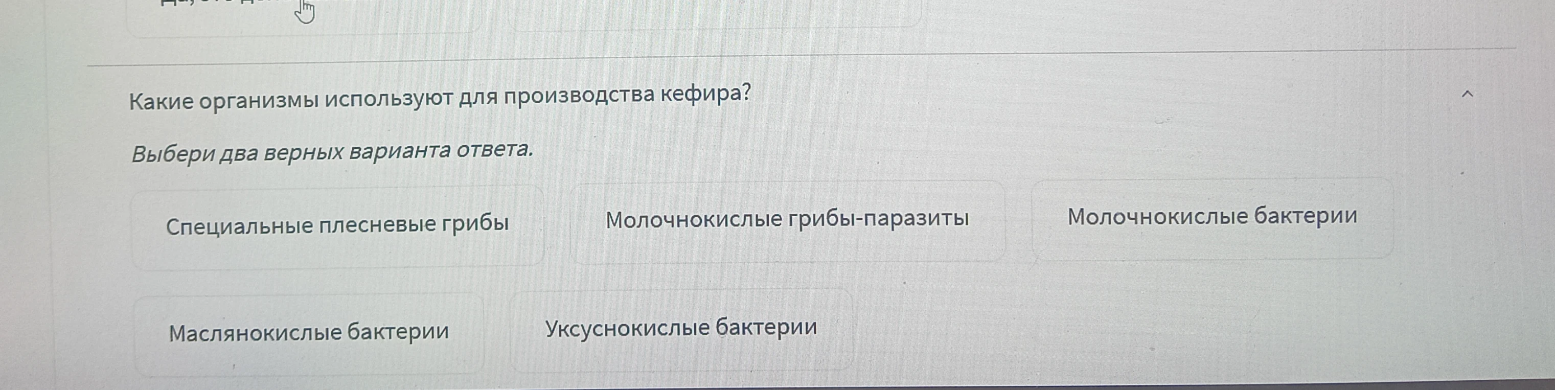 Какие организмы используют для производства кефира?