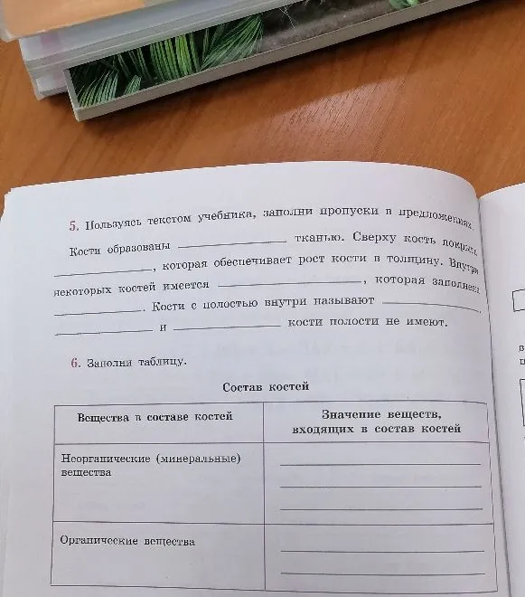 Пользуясь текстом учебника, заполни пропуски в предложениях. Заполни таблицу 'Состав костей'.