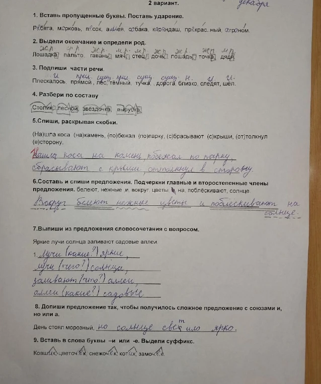 1. Вставь пропущенные буквы. Поставь ударение. 2. Выдели окончание и определи род. 3. Подпиши части речи. 4. Разбери по составу. 5. Спиши, раскрывая скобки. 6. Составь и спиши предложения. 7. Выпиши из предложения словосочетания с вопросом. 8. Допиши предложение так, чтобы получилось сложное предложение. 9. Вставь в слова буквы -и или -е. Выдели суффикс.