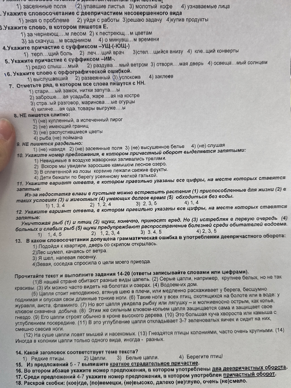 Выполните задания по русскому языку: укажите причастие совершенного вида, деепричастие несовершенного вида, правописание суффиксов и знаки препинания в предложениях с оборотами.