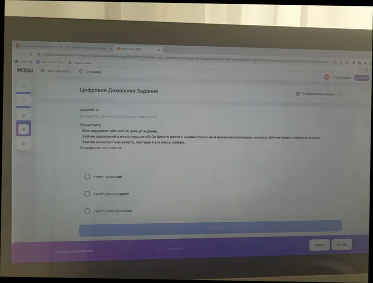 Определите тип текста: Мне подарили зайчика на день рождения. Зайчик маленький и очень пушистый. Он белого цвета с карими глазками и маленьким розовым носиком.