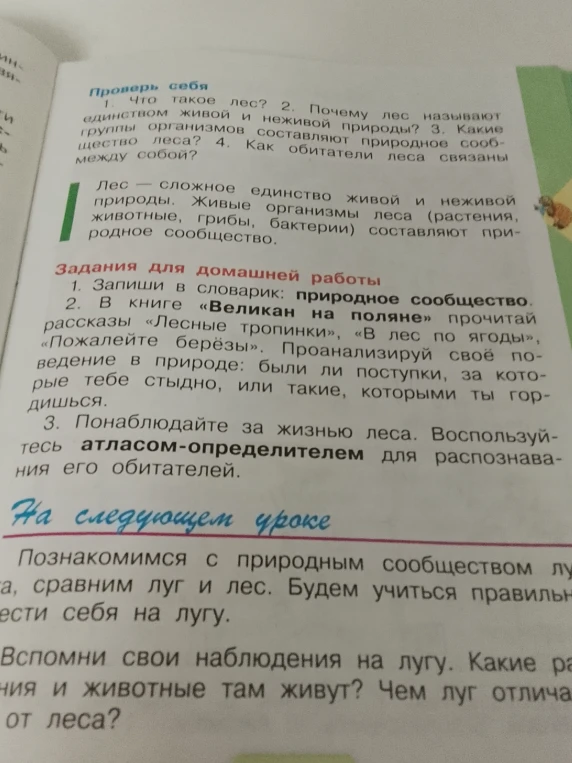 Что такое лес? Почему лес называют единством живой и неживой природы? Какие группы организмов составляют природное сообщество леса? Как обитатели леса связаны между собой?