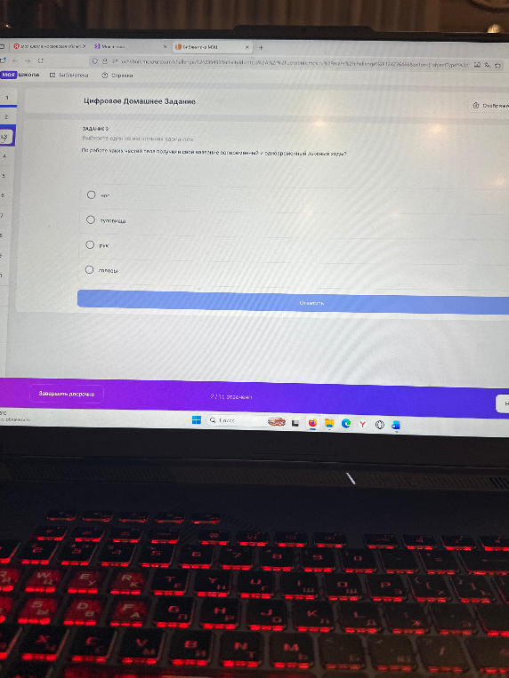 По работе каких частей тела получили свои названия позвоночные и однопроходные млекопитающие?