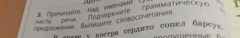 Прочитайте. Над именами существительными укажите часть речи. Подчеркните грамматическую основу предложения. Выпишите словосочетания. 'В траве у костра сердито сопел барсук.'